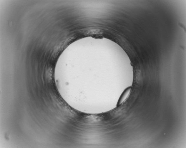 X0000103480326200810101005