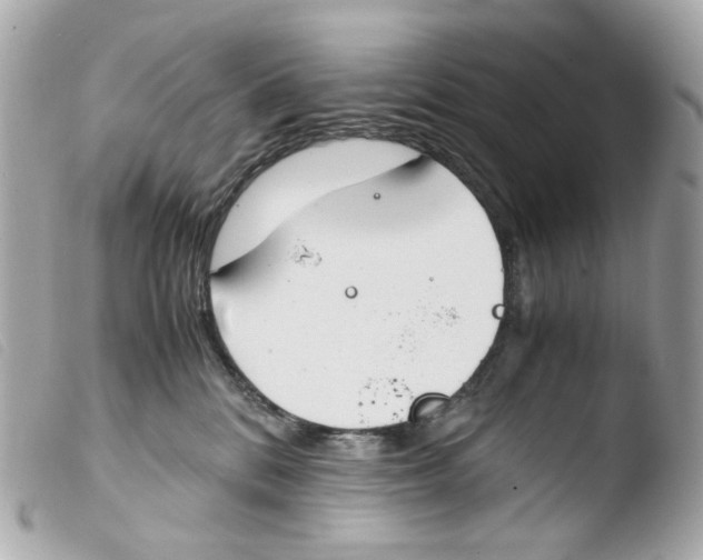 X0000103480328200810101005