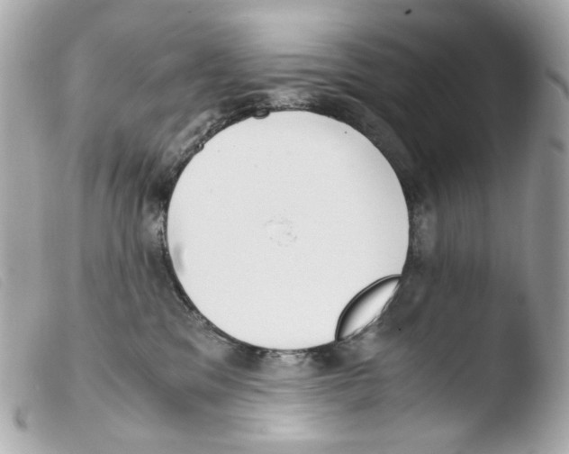 X0000103480329200810101005