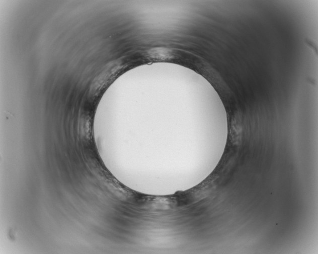 X0000103480330200810101005
