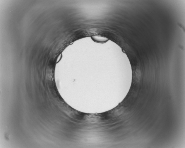 X0000103480331200810101005
