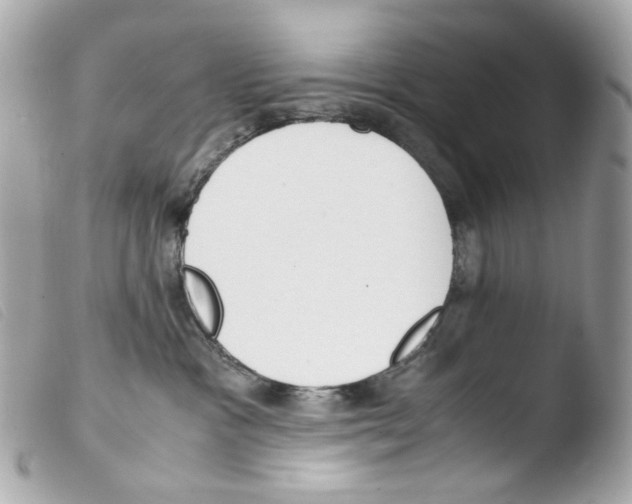 X0000103480333200810101005