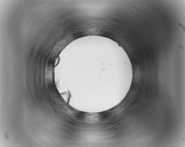 X0000103480334200810101005