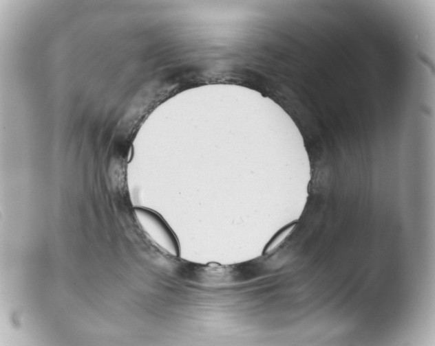 X0000103480335200810101005