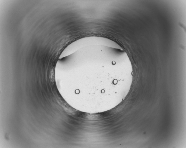 X0000103480336200810101005