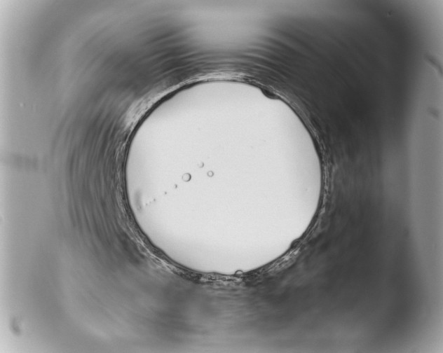 X0000103480337200810101004