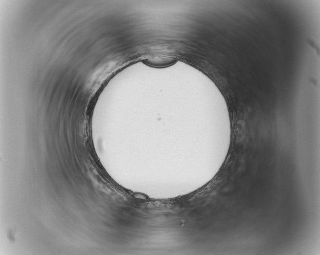 X0000103480338200810101004