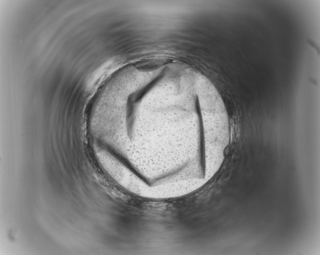 X0000103480339200810101004