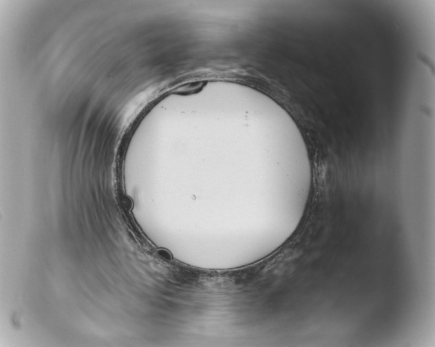X0000103480340200810101004