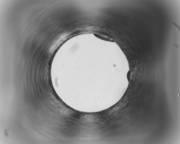 X0000103480341200810101004