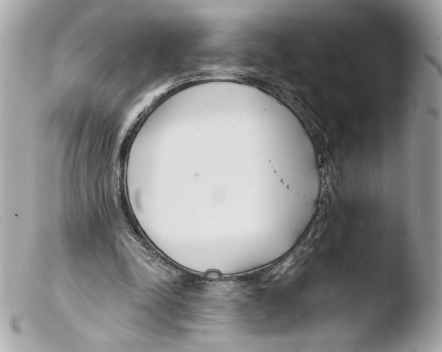X0000103480342200810101004