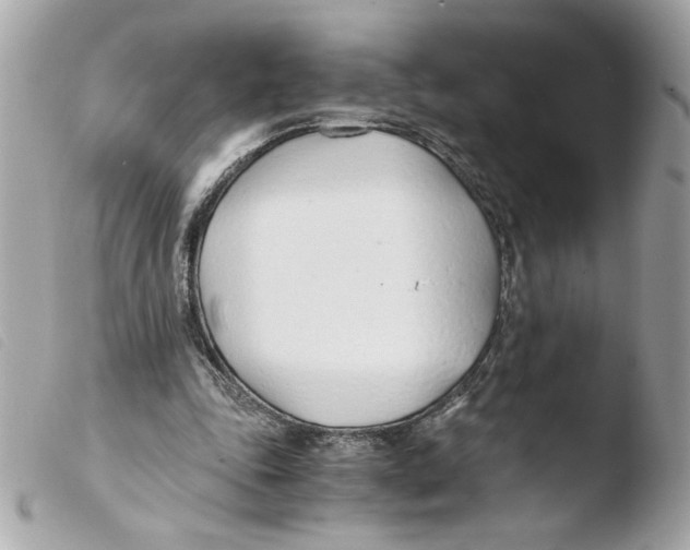 X0000103480343200810101004