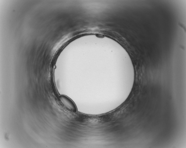 X0000103480344200810101004
