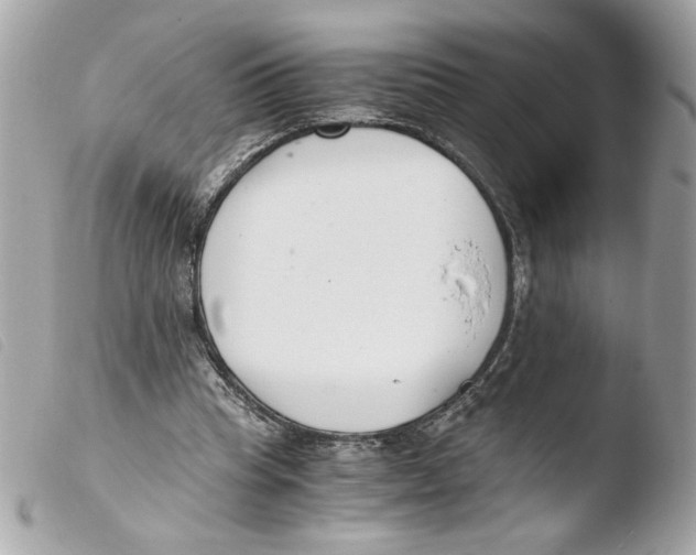 X0000103480345200810101004