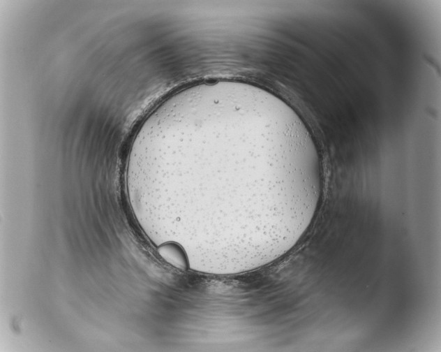 X0000103480346200810101004