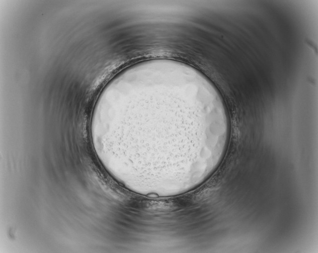 X0000103480347200810101004