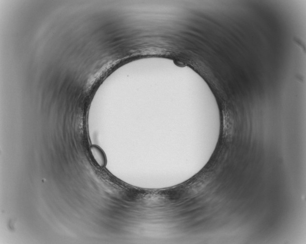 X0000103480348200810101004