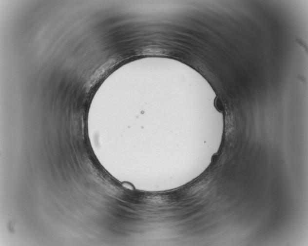 X0000103480349200810101004