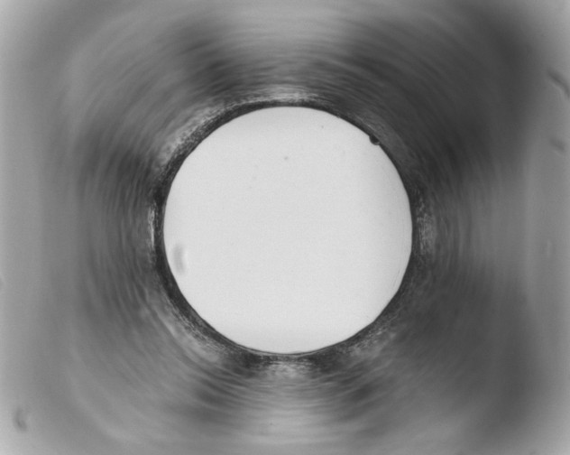 X0000103480350200810101005