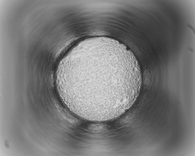 X0000103480351200810101005