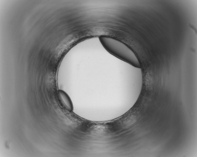 X0000103480352200810101005