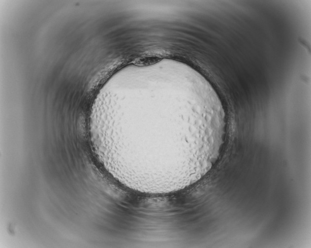 X0000103480353200810101005