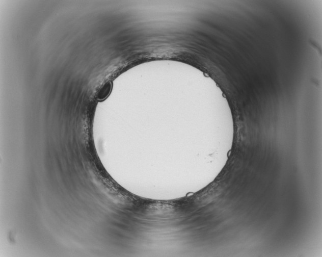 X0000103480354200810101005