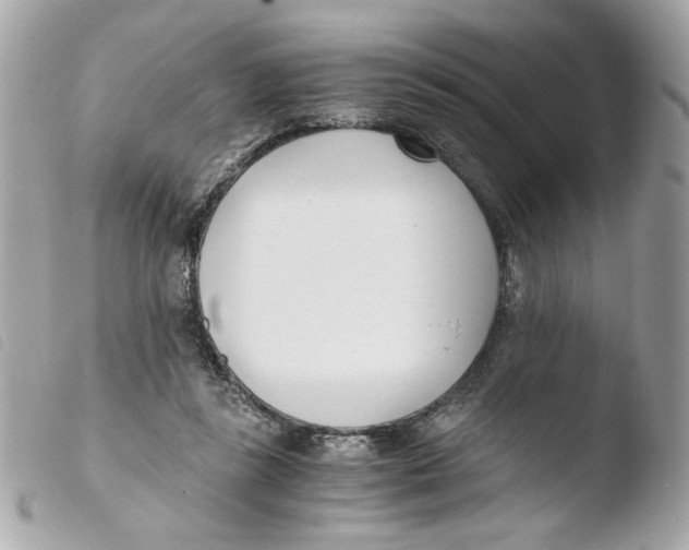 X0000103480355200810101005