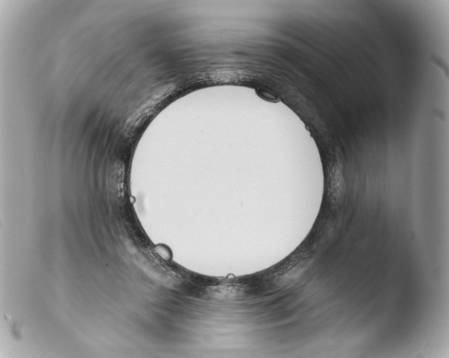 X0000103480356200810101005