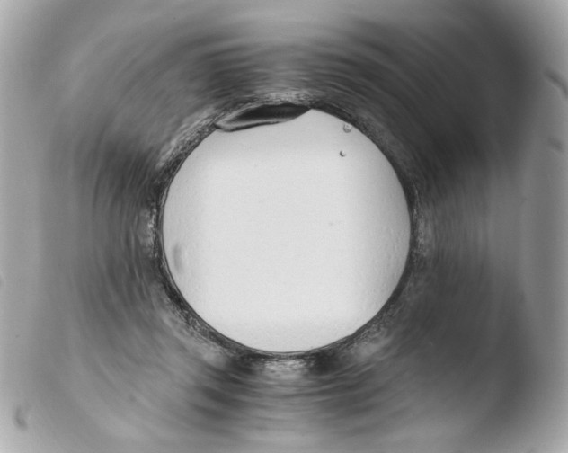 X0000103480357200810101005