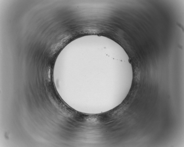 X0000103480358200810101005