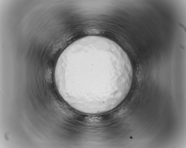 X0000103480359200810101005