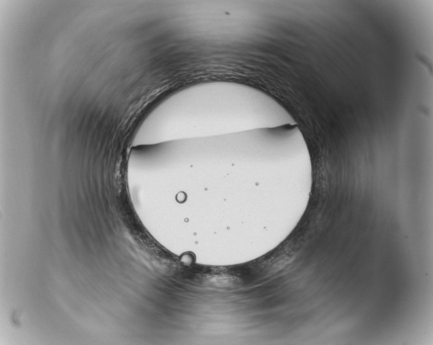 X0000103480360200810101005