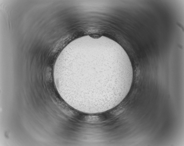 X0000103480361200810101005