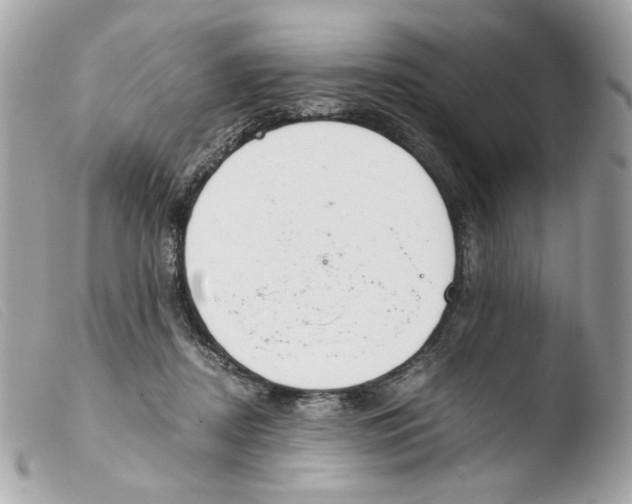 X0000103480362200810101005
