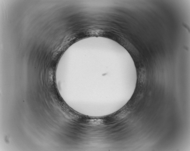 X0000103480363200810101005