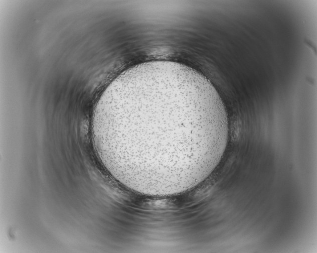 X0000103480365200810101005