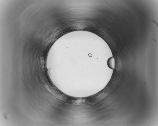 X0000103480366200810101005
