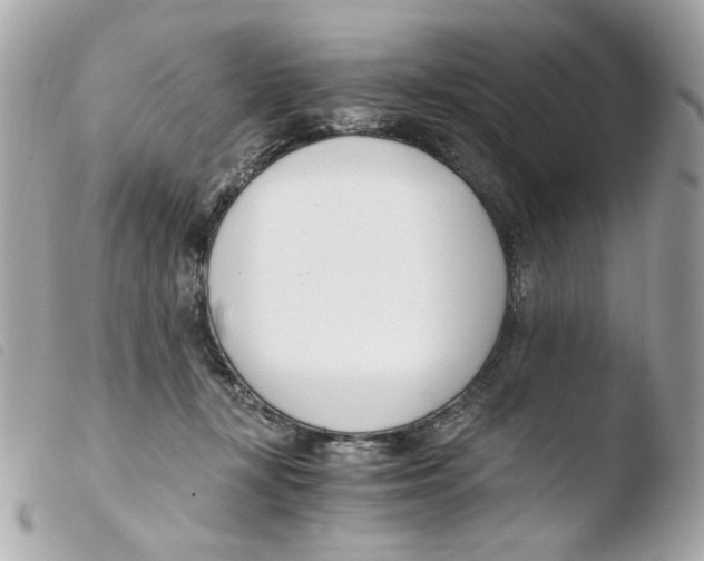 X0000103480367200810101005