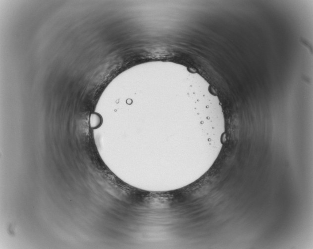 X0000103480368200810101005