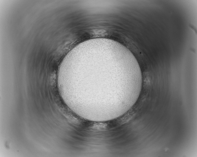 X0000103480369200810101005