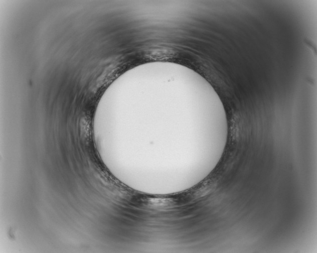 X0000103480371200810101005