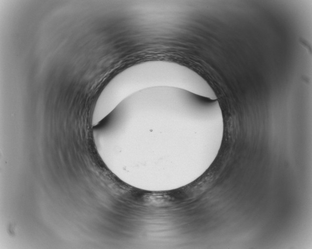 X0000103480372200810101005