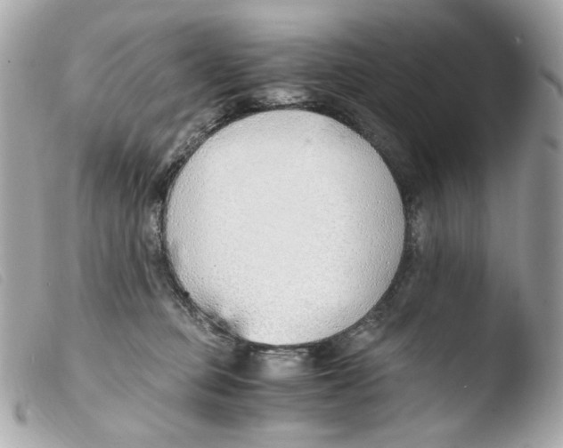 X0000103480373200810101005