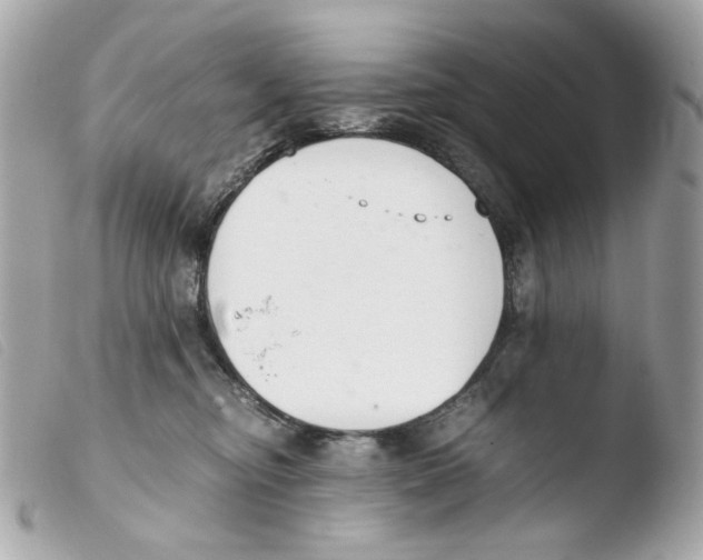X0000103480374200810101005