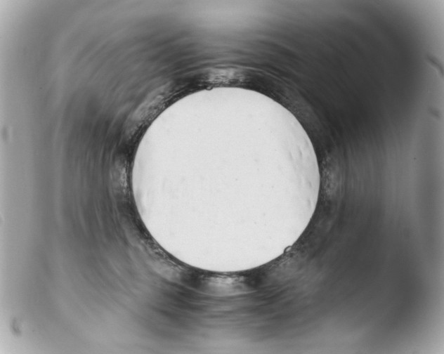 X0000103480375200810101005