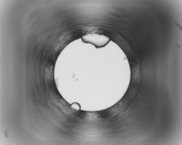 X0000103480376200810101005