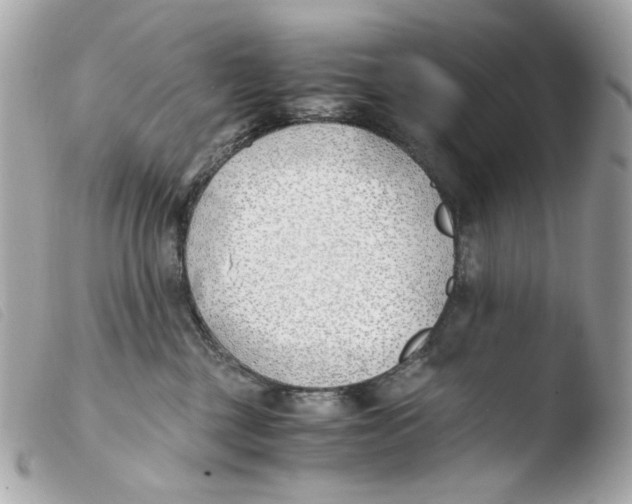 X0000103480377200810101005