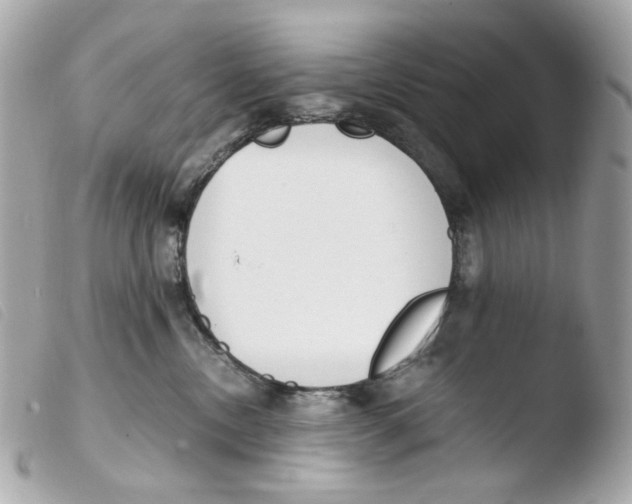 X0000103480378200810101005