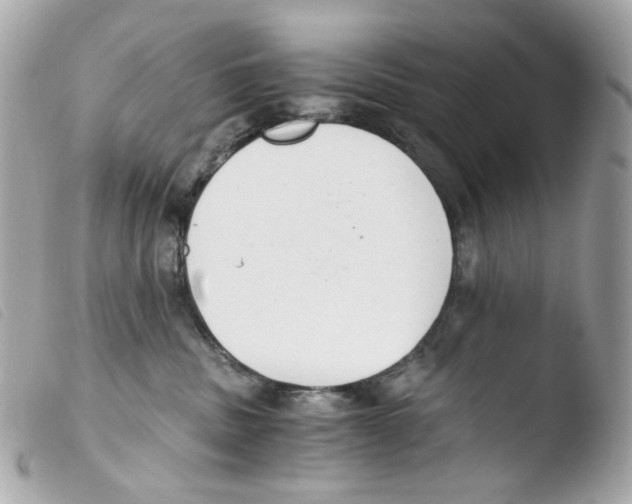 X0000103480379200810101005